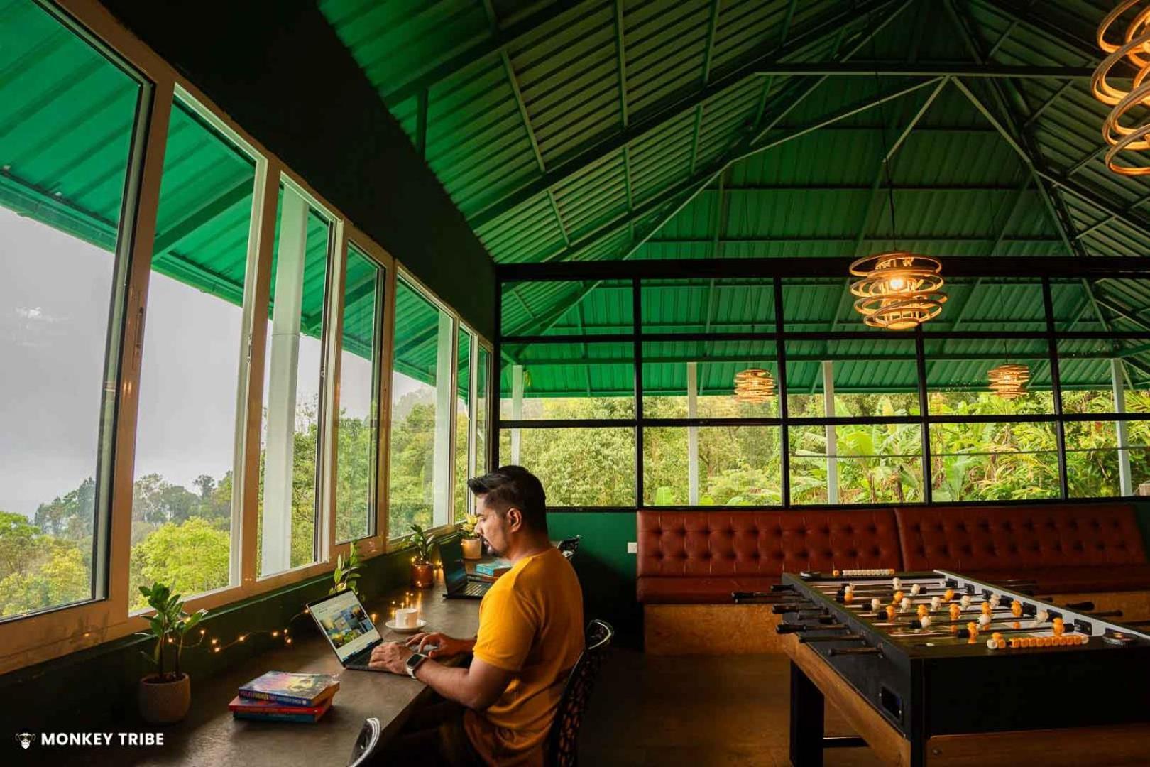 Monkey Tribe Munnar Hostel Luaran gambar
